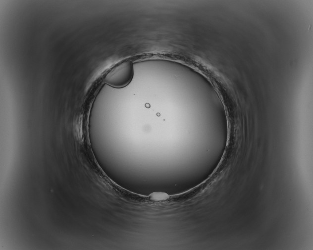 X0000087421262200705041301