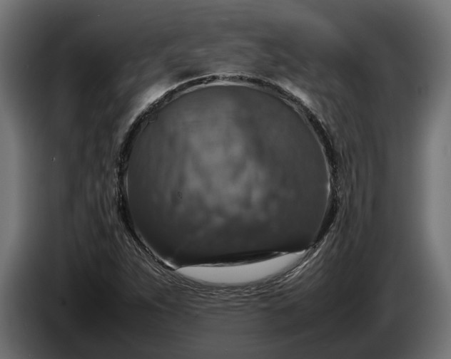 X0000087421263200705041301