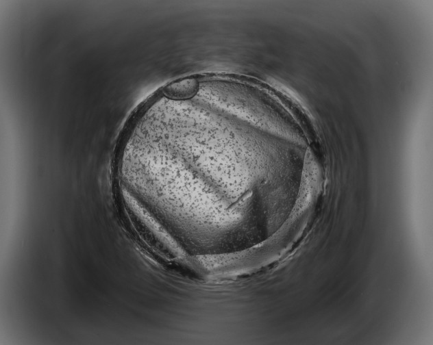 X0000087421264200705041301