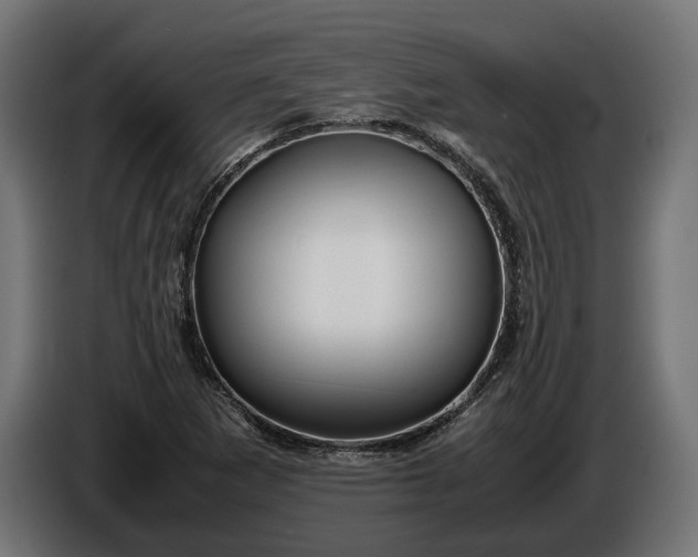 X0000087421265200705041301