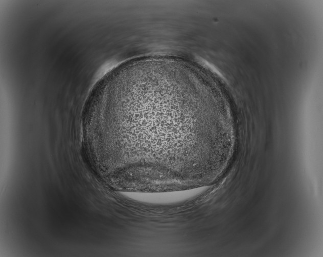 X0000087421267200705041300