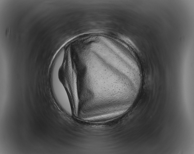 X0000087421268200705041300