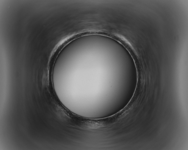 X0000087421270200705041300