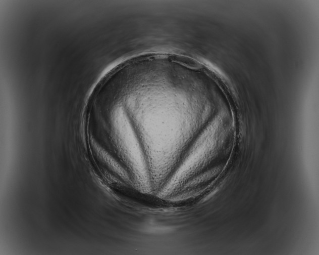 X0000087421272200705041300