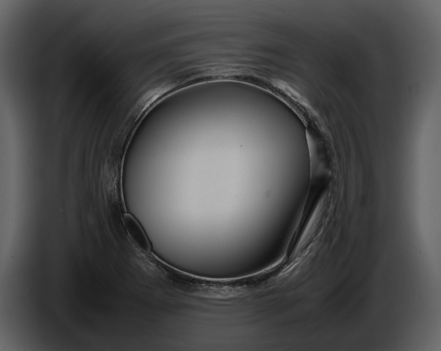 X0000087421273200705041300