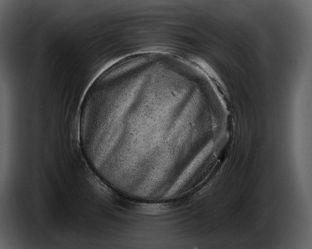 X0000087421276200705041300