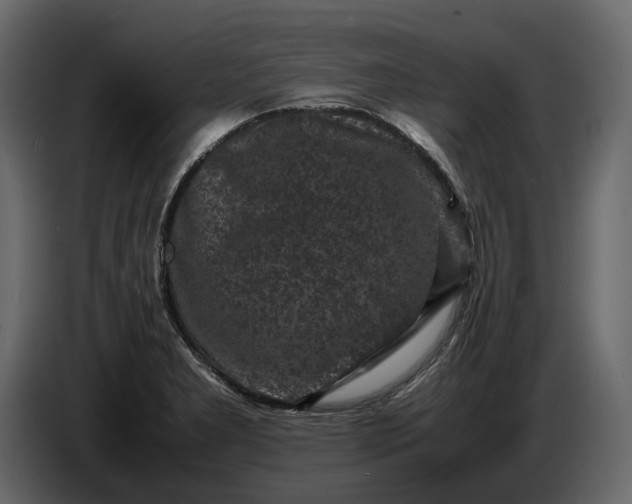 X0000087421277200705041300