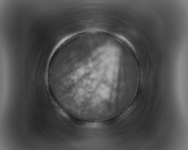 X0000087421278200705041300