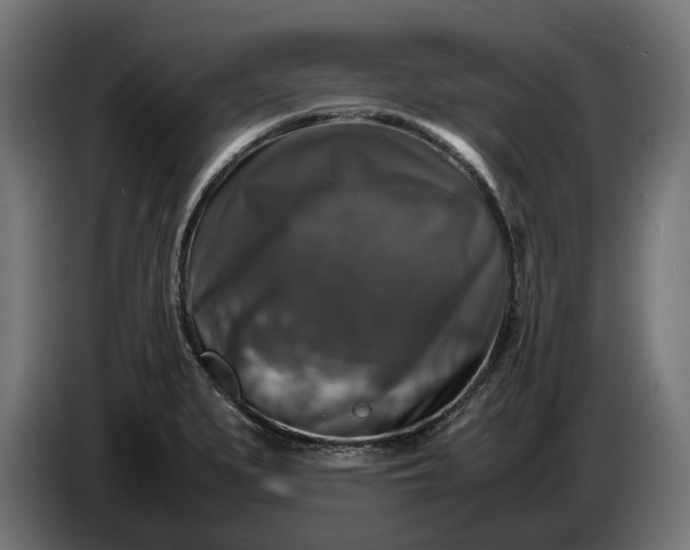 X0000087421279200705041300