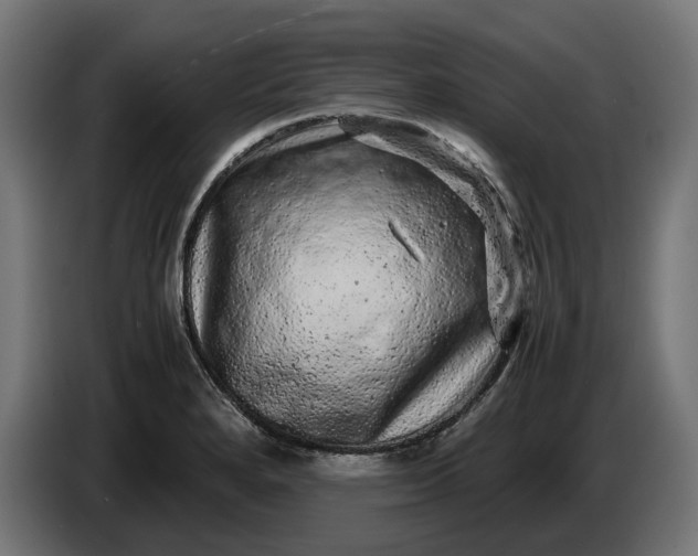 X0000087421280200705041300