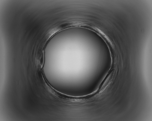 X0000087421281200705041300