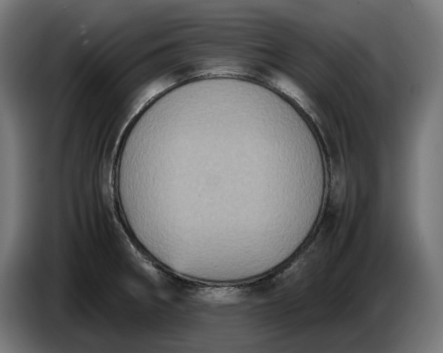 X0000087421282200705041300