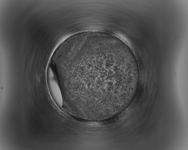 X0000087421283200705041300