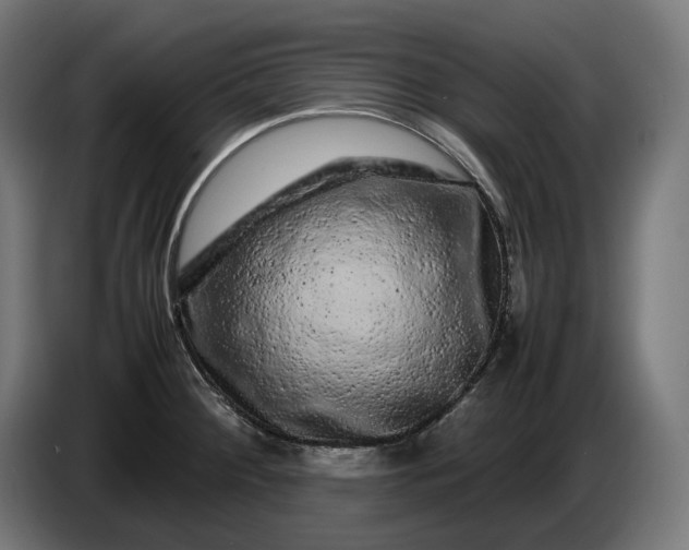 X0000087421284200705041300