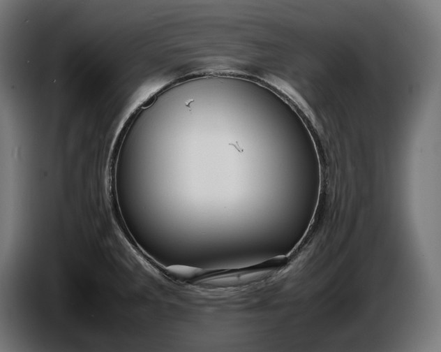 X0000087421285200705041300