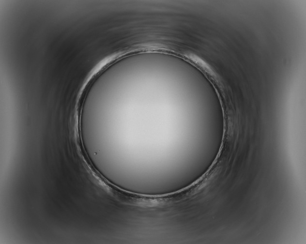 X0000087421286200705041300