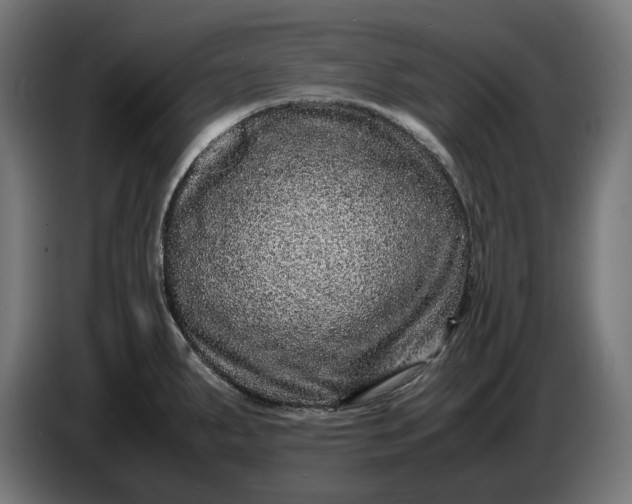 X0000087421287200705041300