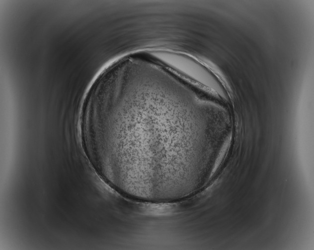 X0000087421288200705041300