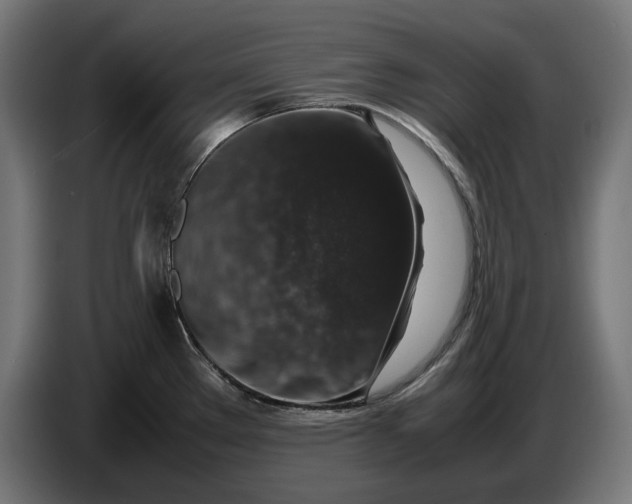 X0000087421289200705041300