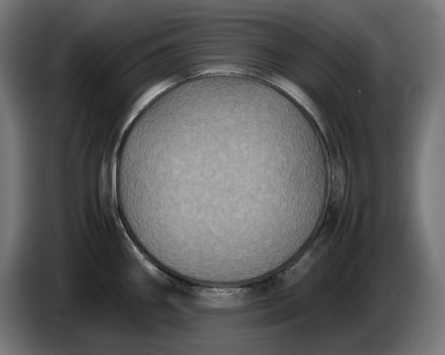 X0000087421290200705041300