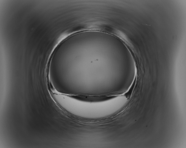 X0000087421291200705041300