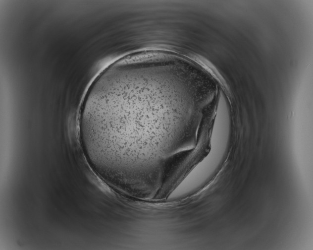 X0000087421292200705041300