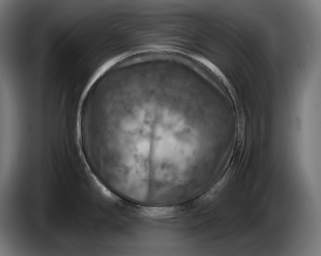 X0000087421294200705041300