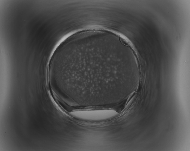 X0000087421295200705041300