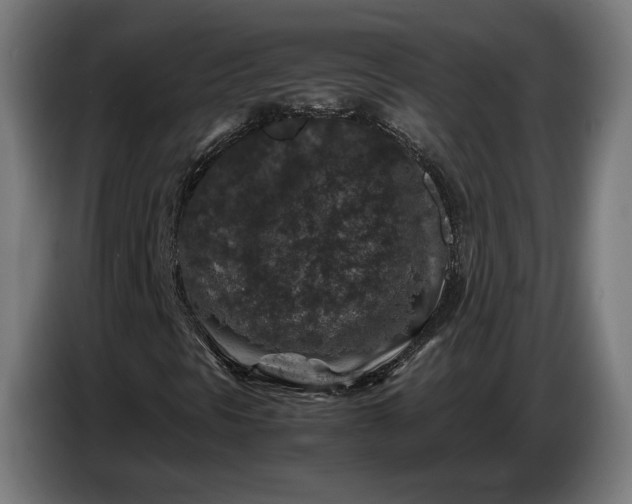 X0000087421297200705041259