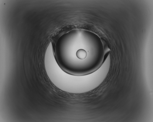 X0000087421298200705041259