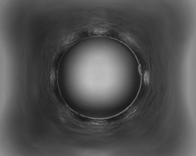 X0000087421299200705041300