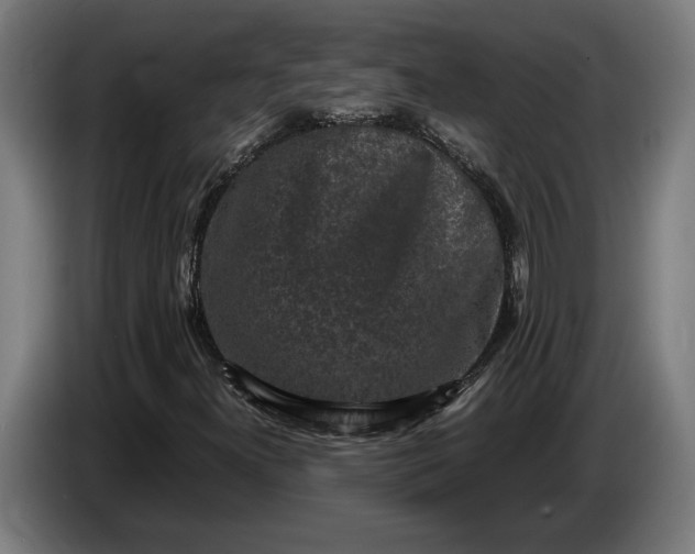 X0000087421300200705041300