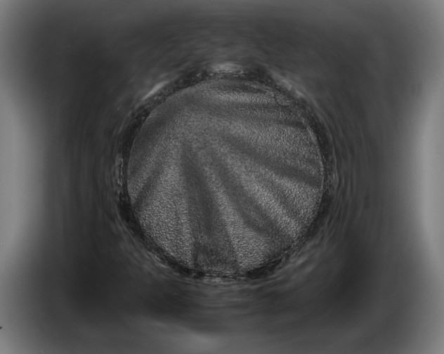 X0000087421301200705041300