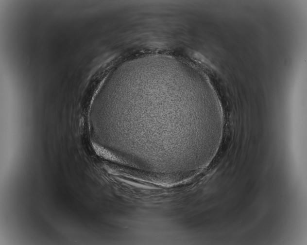 X0000087421302200705041300