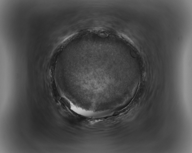 X0000087421303200705041300