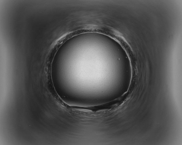 X0000087421304200705041300