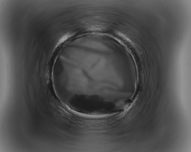 X0000087421306200705041300