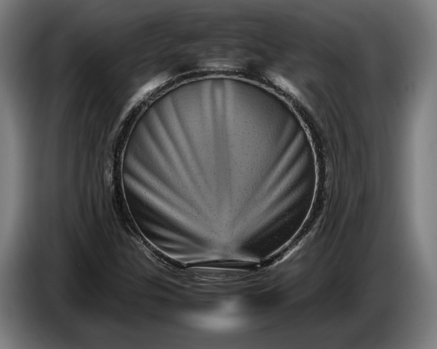 X0000087421307200705041300