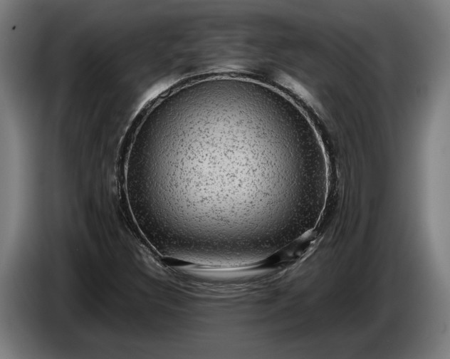 X0000087421308200705041300