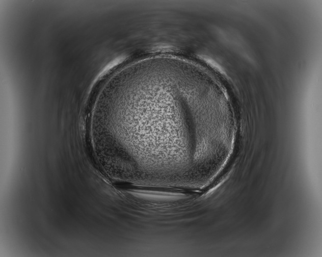 X0000087421309200705041300