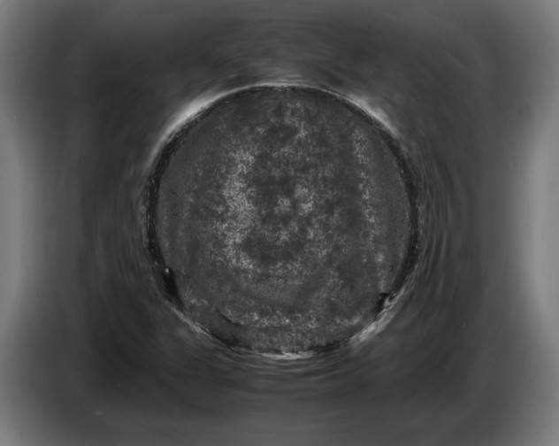 X0000087421311200705041300