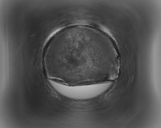 X0000087421312200705041300