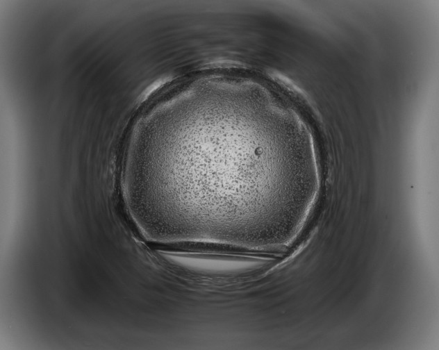 X0000087421313200705041300