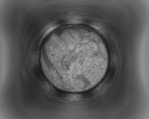 X0000087421314200705041300