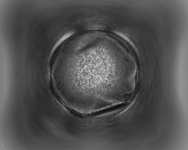 X0000087421317200705041300