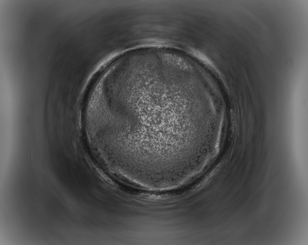 X0000087421318200705041300