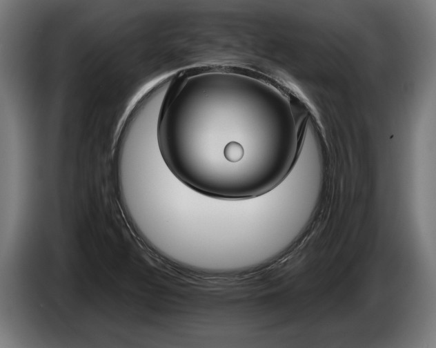 X0000087421320200705041300