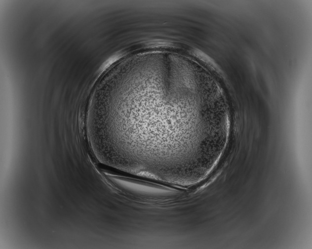 X0000087421321200705041300