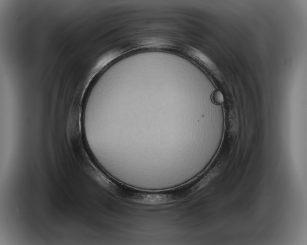 X0000087421322200705041300