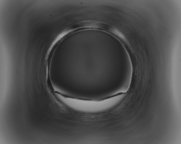 X0000087421323200705041300